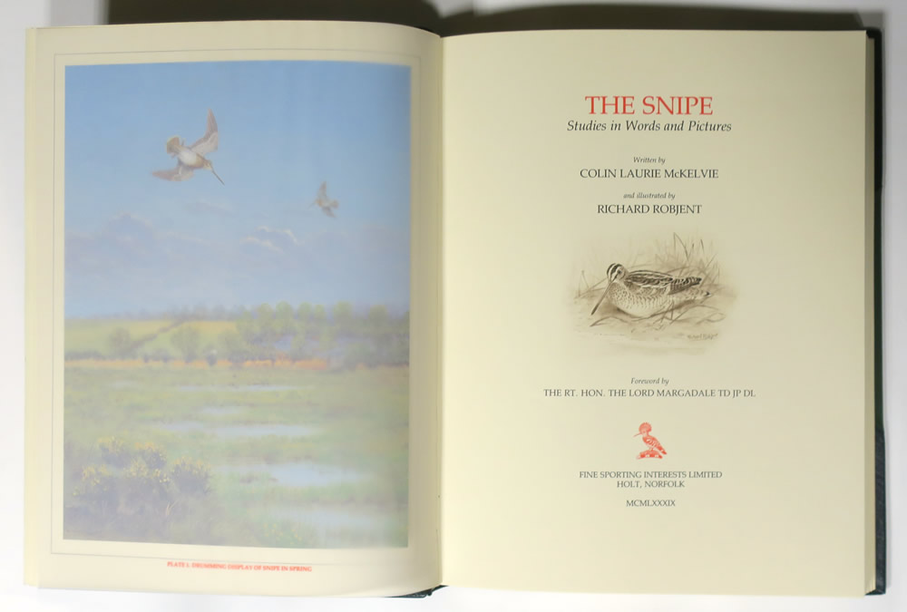 The Snipe Studies in Words and Pictures