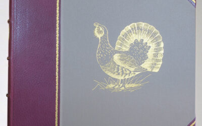 The grouse, Studies in Words and Pictures