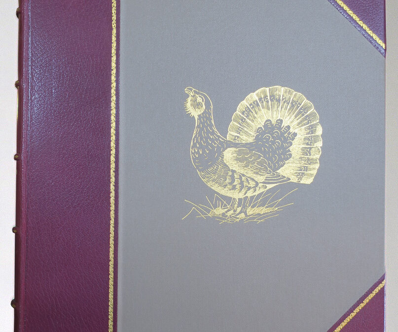 The grouse, Studies in Words and Pictures