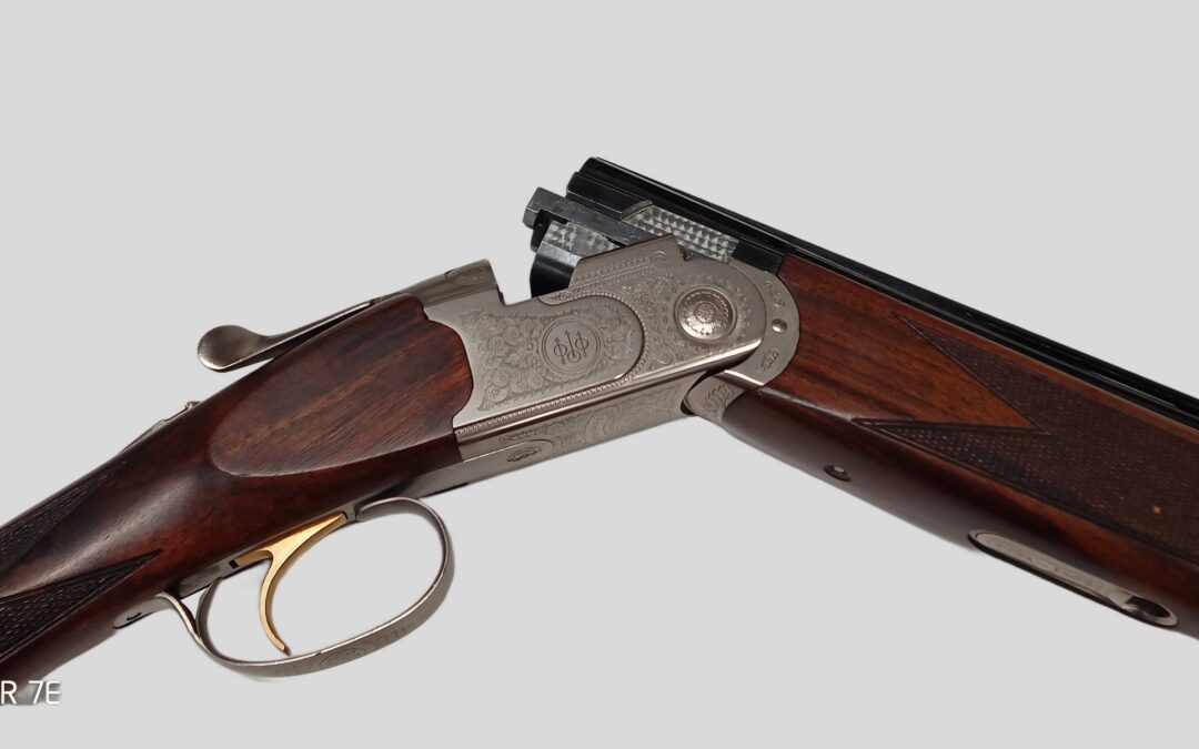 BERETTA cal 20/76 silver pigeon