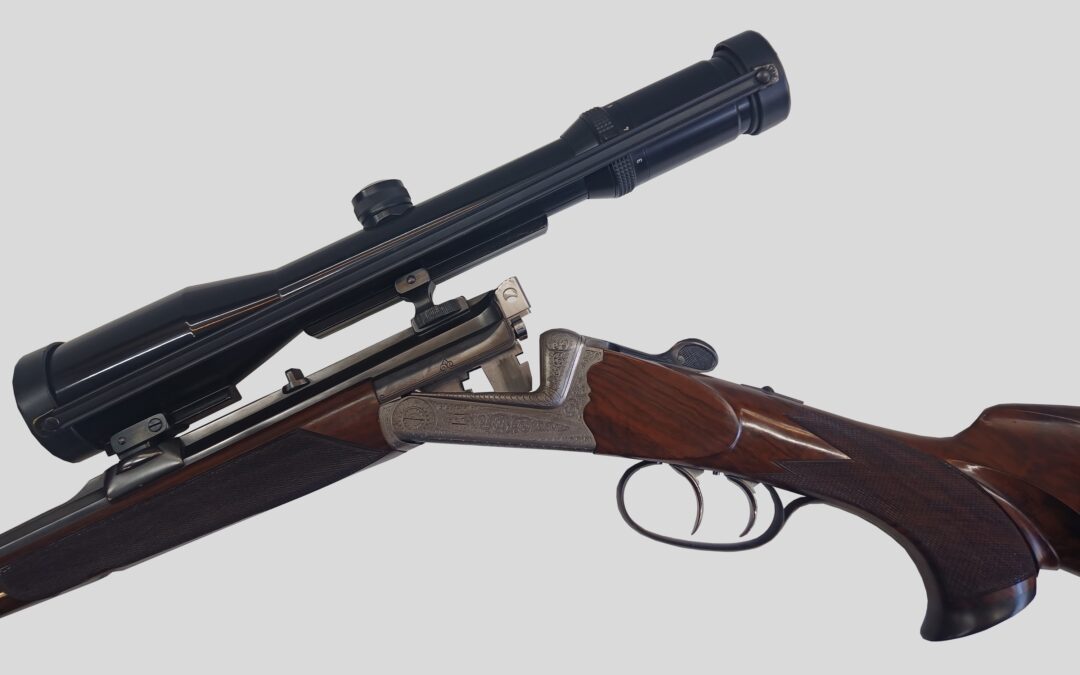 Borovnik cal 300win mag