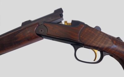 BLASER K95 Cal 6x62R frère