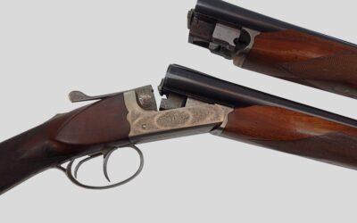Combo CHAPUIS cal 20  + cal 9,3x74R