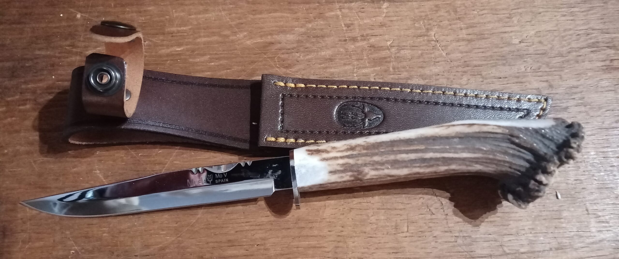 IMG_20251128_145151_762