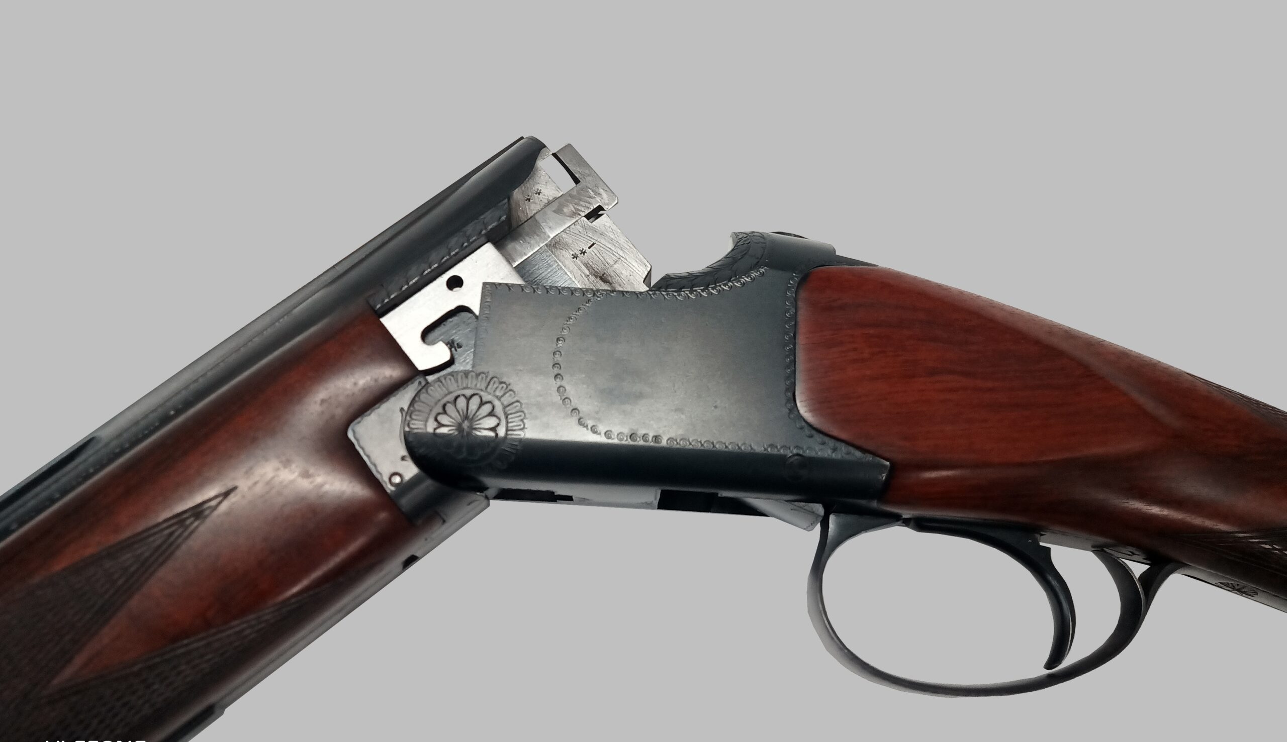 IMG_20240513_111507_686