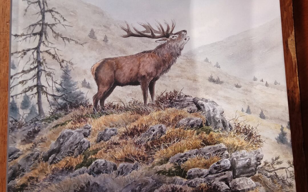 Quelques traits de vie