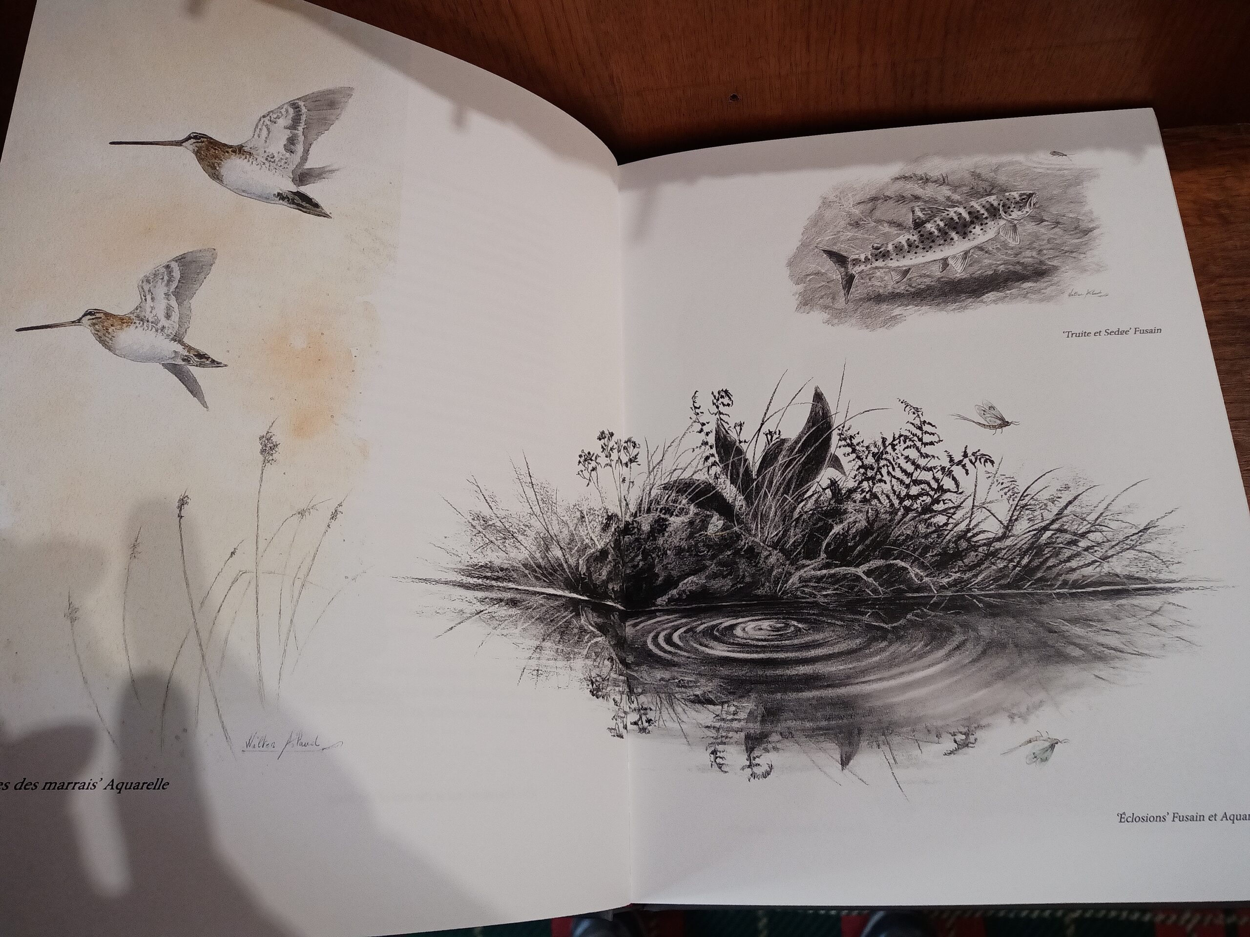 Quelques traits de vie de Walter Arlaud Quelques traits de vie de Walter Arlaud