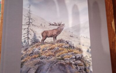 Quelques traits de vie – Edition limitée