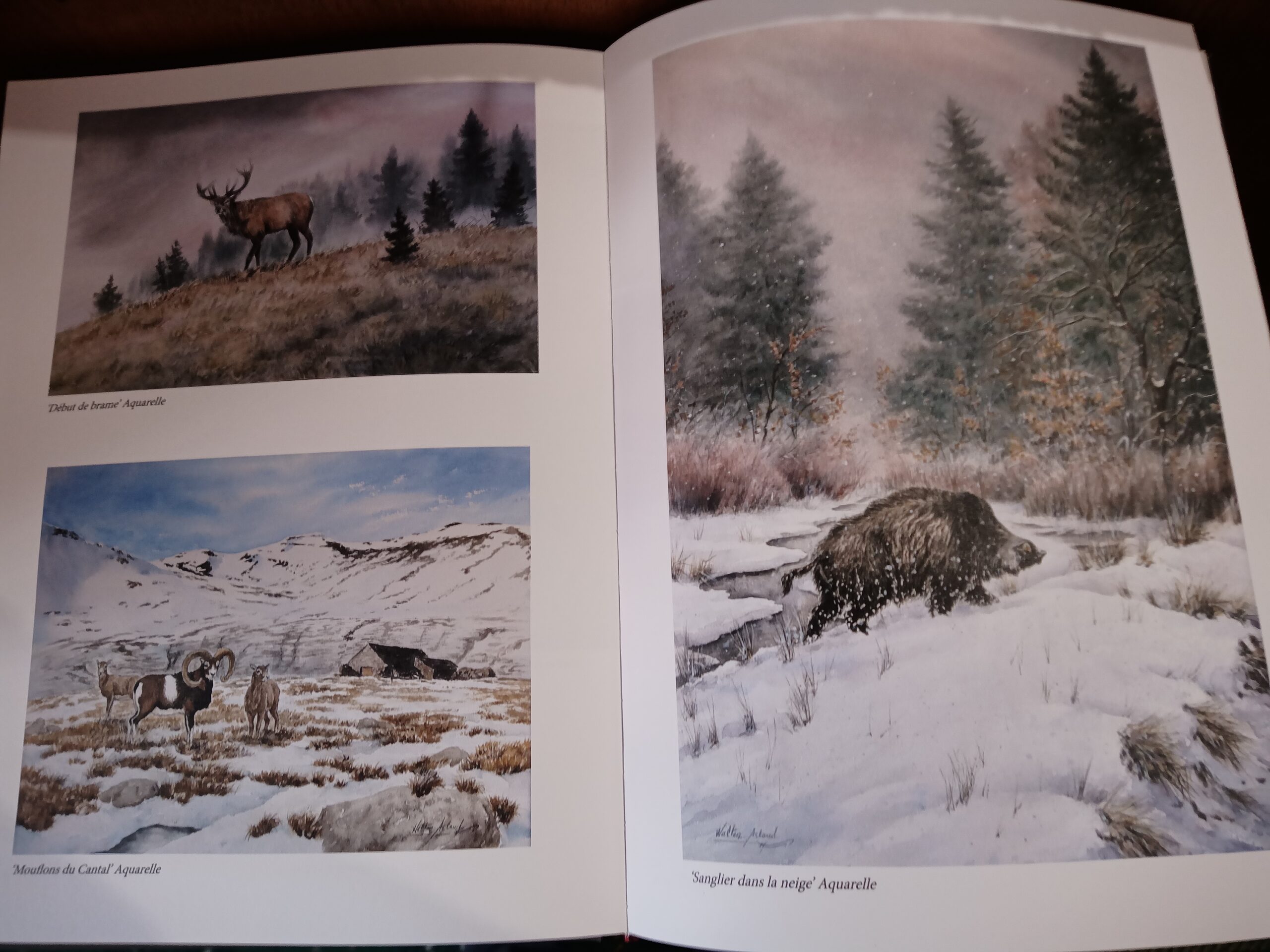 Quelques traits de vie Edition limitée de Walter Arlaud Quelques traits de vie Edition limitée de Walter Arlaud