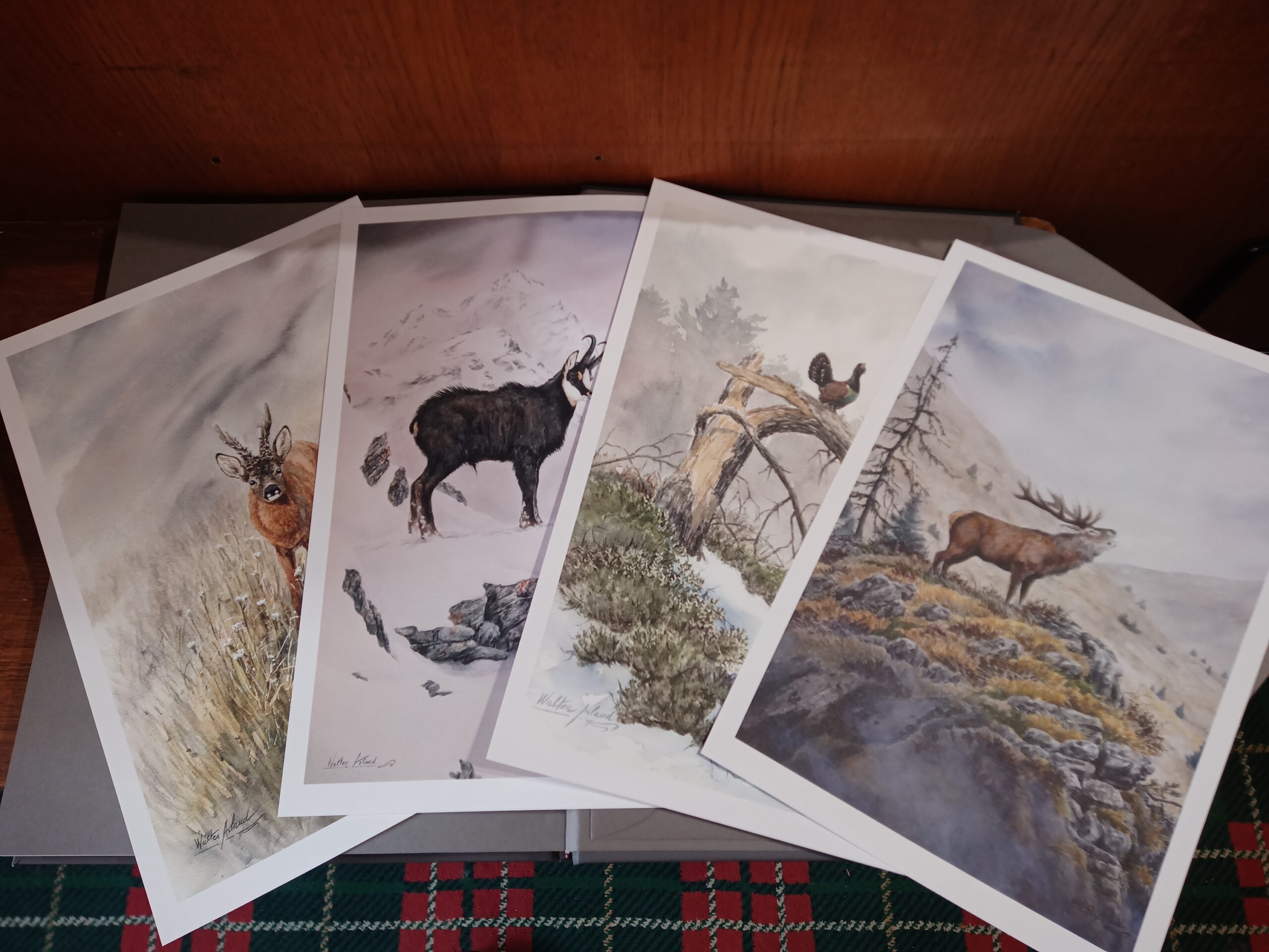 Quelques traits de vie Edition limitée de Walter Arlaud Quelques traits de vie Edition limitée de Walter Arlaud