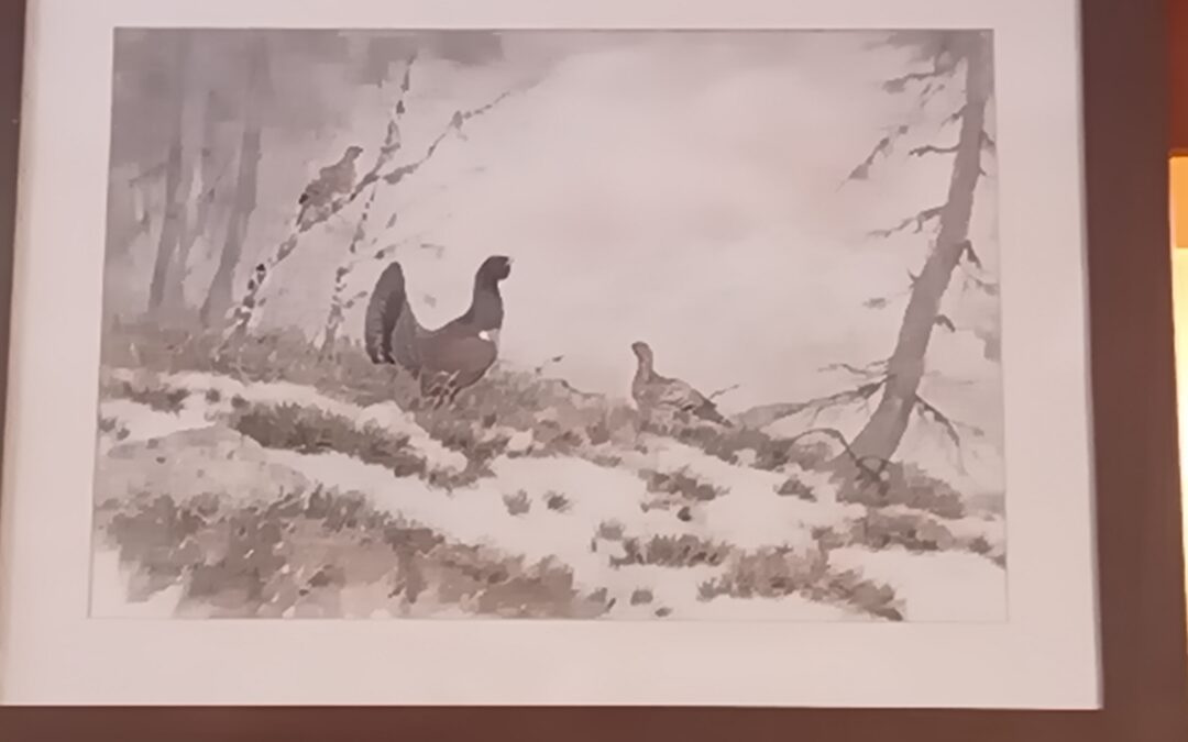 Tétras et sa femelle