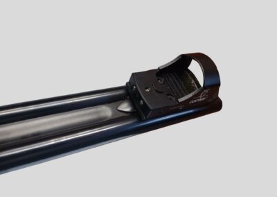 juxtaposé CHAPUIS cal 8x57JRS