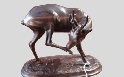 Bronze chevreuil