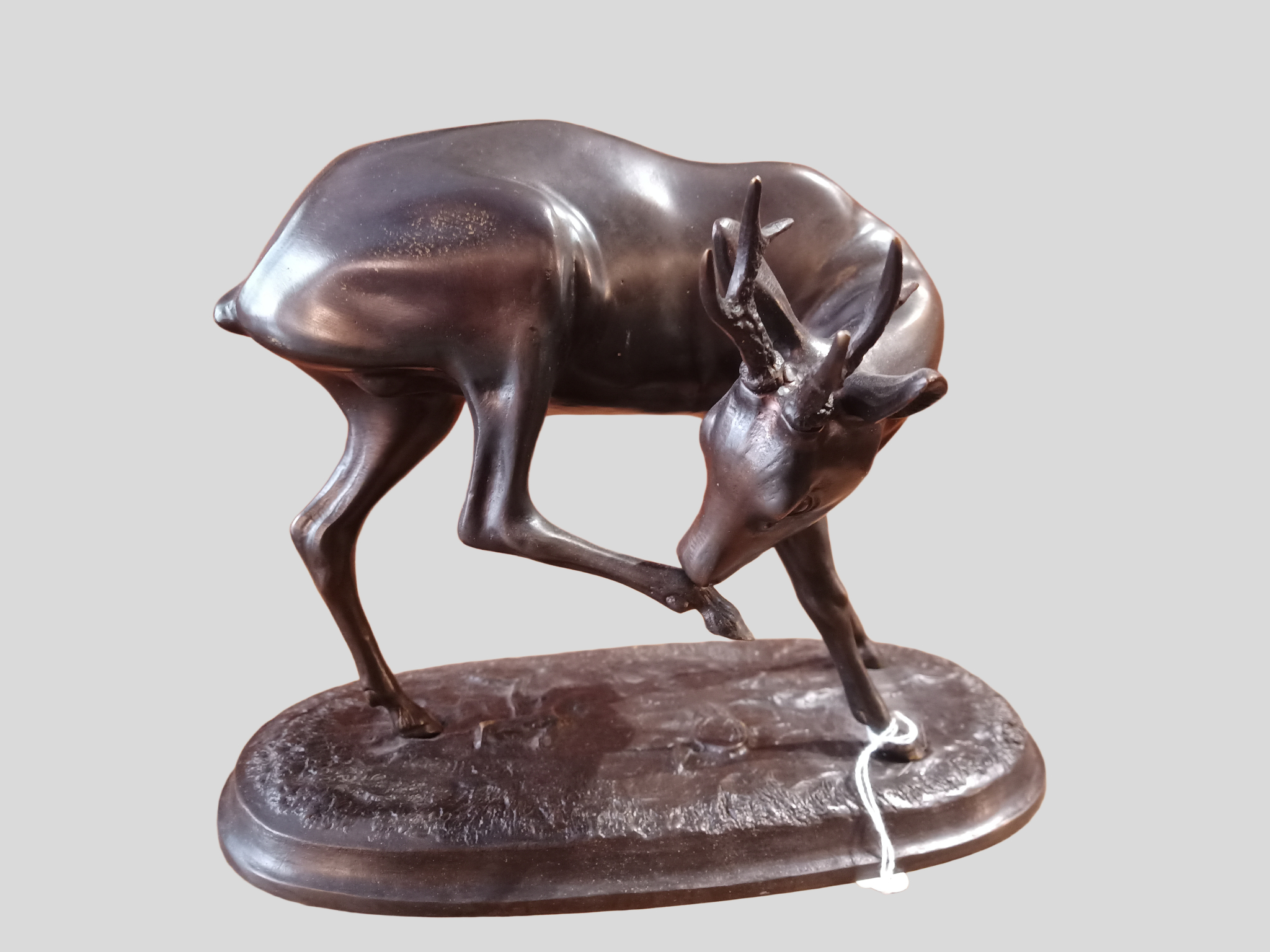 Pokecut_1771668186794