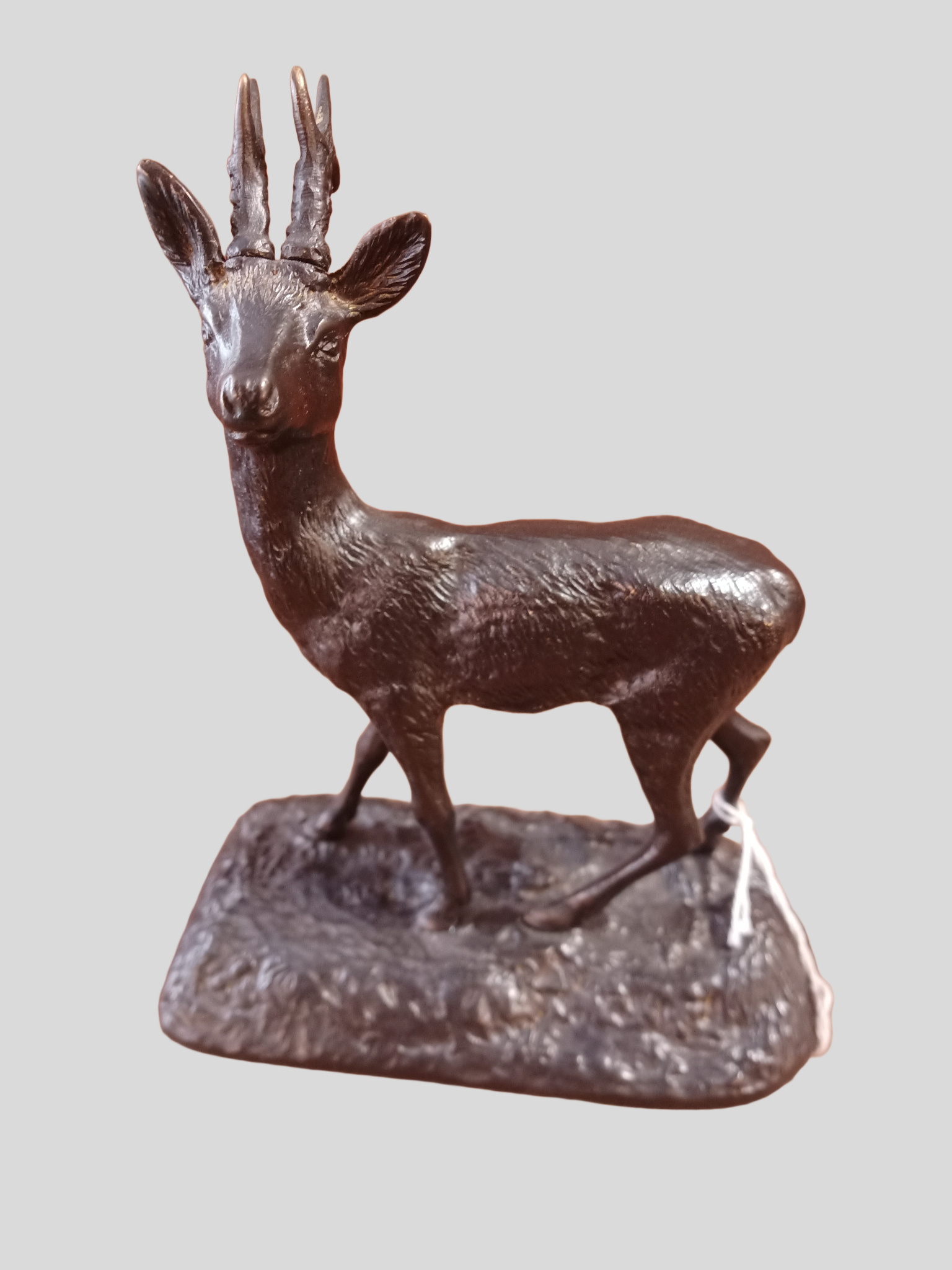 Pokecut_1771668314985