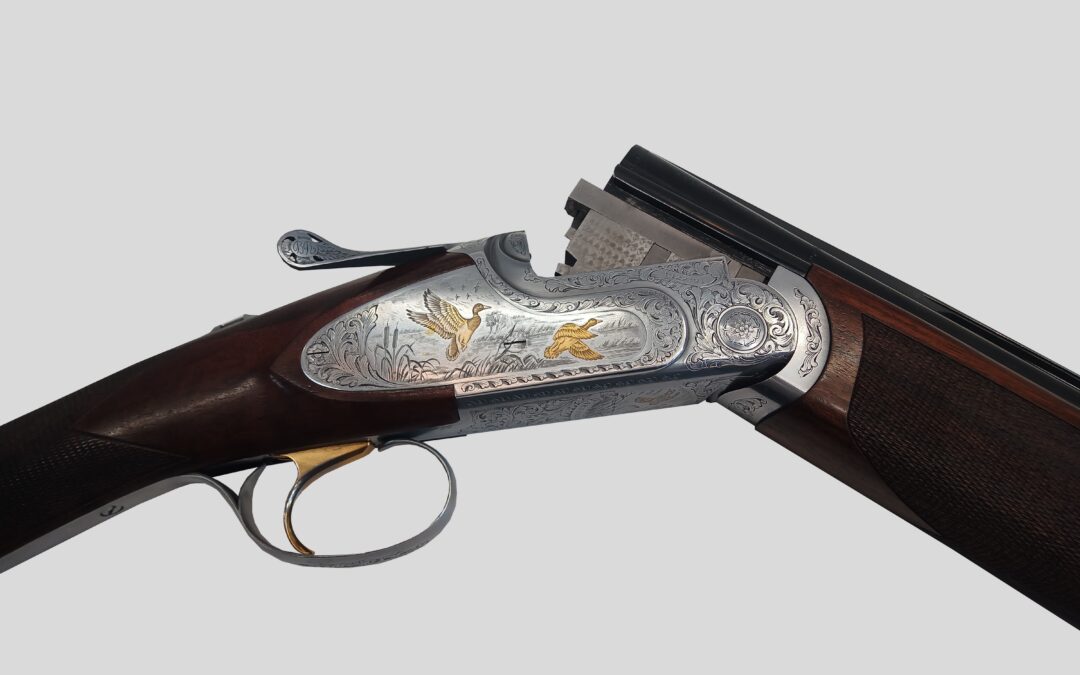Rizzini artemis cal 20