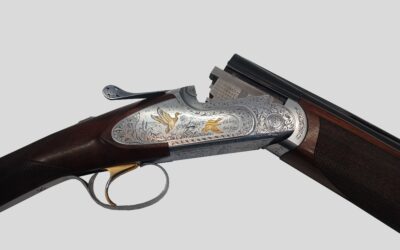 Rizzini artemis cal 20